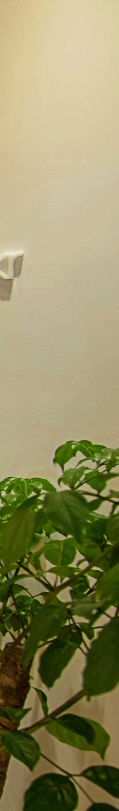 부유방 재수술, 겉으로 드러나지 않는 문제를 해결하기 위해서는 사진 24