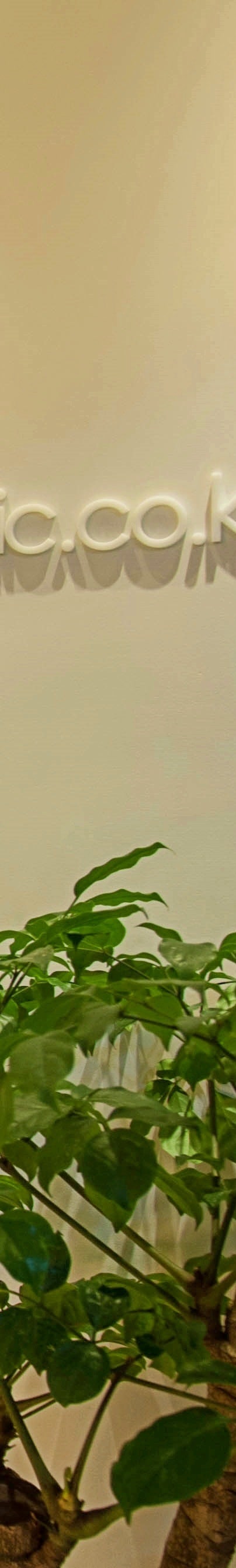 부유방 재수술, 겉으로 드러나지 않는 문제를 해결하기 위해서는 사진 23