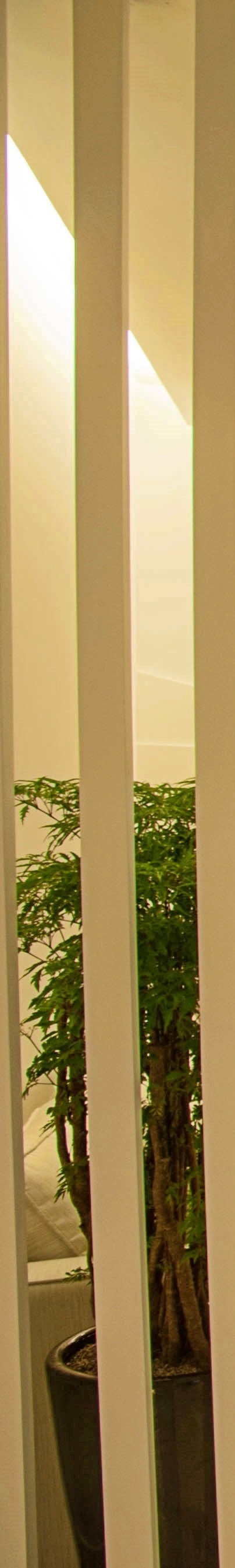 부유방 재수술, 겉으로 드러나지 않는 문제를 해결하기 위해서는 사진 15