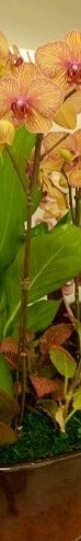 남자 여유증 운동을 열심히 노력해도 만족스럽지 않은 이유 사진 6